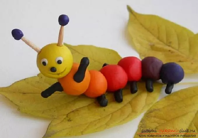 Plasticine-insecten: Caterpillar-modellering. Hoe maken kinderen libel geleidelijk? Wie doen van kegels en kleuterschoolers? Stapsgewijze schema's 26600_18