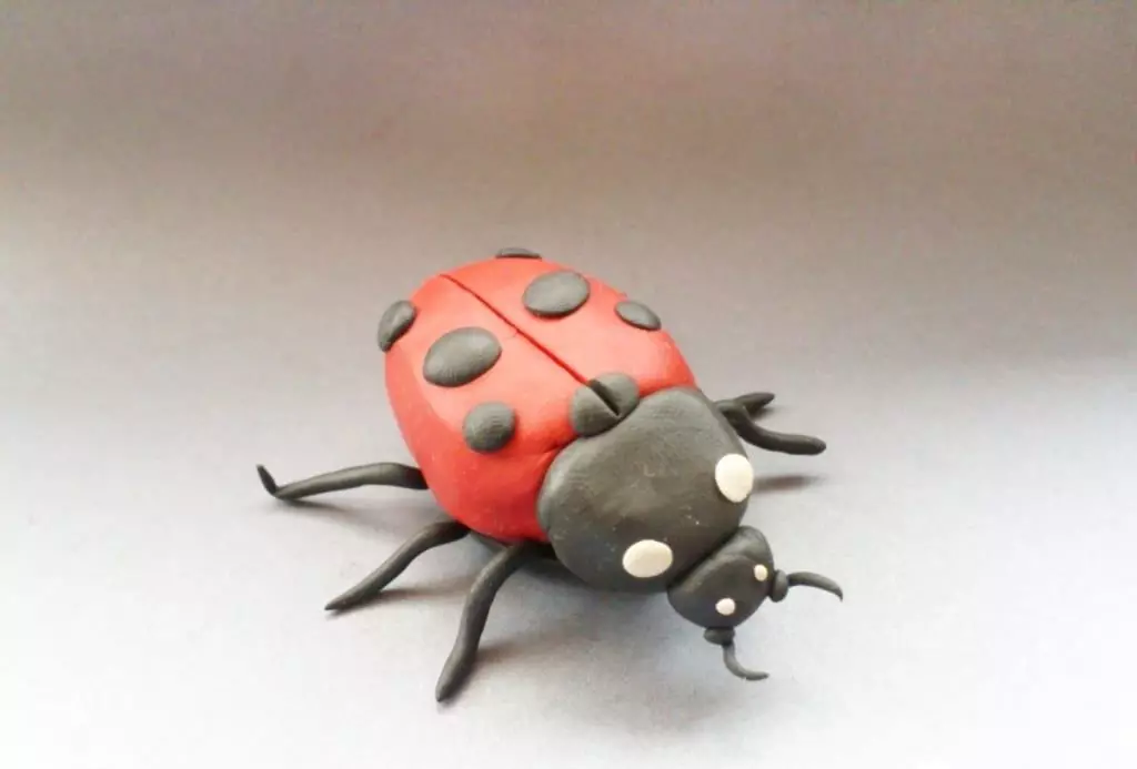 Plasticine-insecten: Caterpillar-modellering. Hoe maken kinderen libel geleidelijk? Wie doen van kegels en kleuterschoolers? Stapsgewijze schema's 26600_2