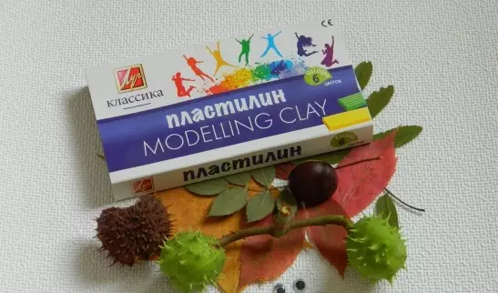 Crafts mula kastanyas at plasticine (51 mga larawan): kung paano gumawa ng bata isang oso at kuwago? Mushroom modeling at higad sa kanilang sariling mga kamay, mamasa hayop at spiders 26623_14