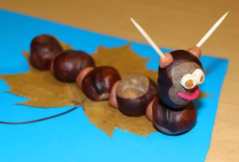 Kerajinan dari chestnut dan plasticine (51 foto): Cara membuat anak-anak beruang dan burung hantu? Pemodelan jamur dan ulat dengan tangan mereka sendiri, hewan lembab dan laba-laba 26623_26