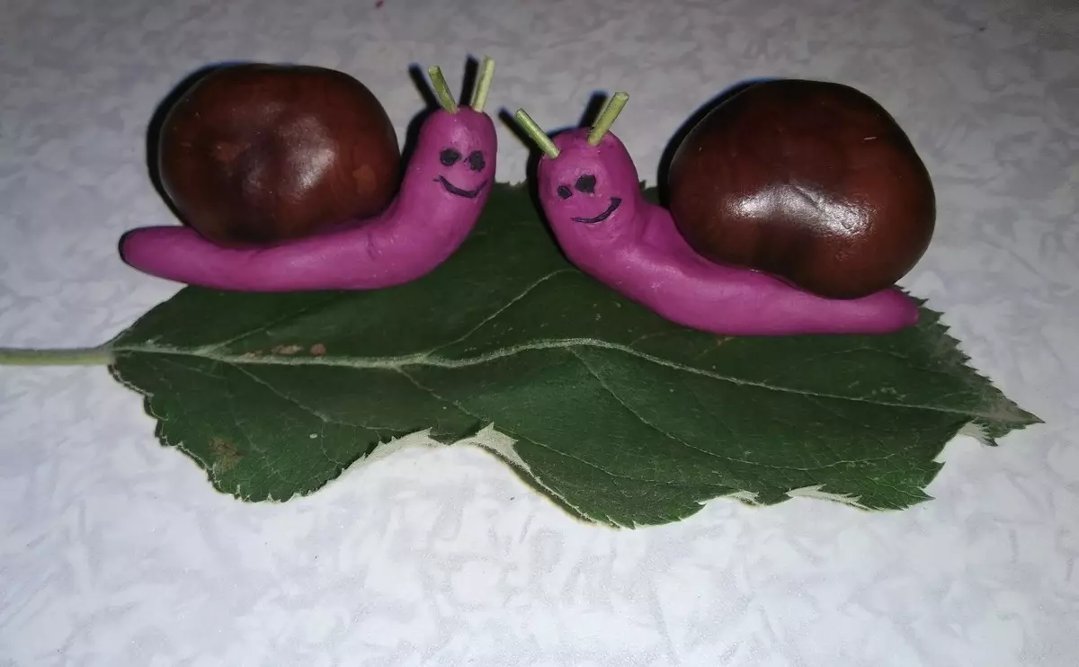 kestane we plasticine (51 Suratlar) gelen Crafts: nähili çaga bir aýy we baykuş etmek üçin? Kömelek modelleme we öz elleri bilen Larva, haýwanlary we örümcekler nemli 26623_27