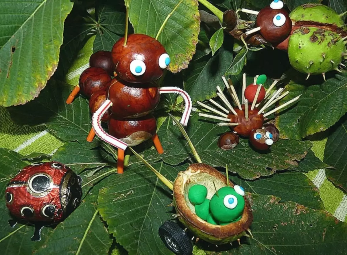 kestane we plasticine (51 Suratlar) gelen Crafts: nähili çaga bir aýy we baykuş etmek üçin? Kömelek modelleme we öz elleri bilen Larva, haýwanlary we örümcekler nemli 26623_3