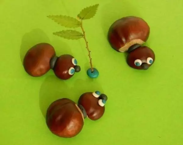 kestane we plasticine (51 Suratlar) gelen Crafts: nähili çaga bir aýy we baykuş etmek üçin? Kömelek modelleme we öz elleri bilen Larva, haýwanlary we örümcekler nemli 26623_30