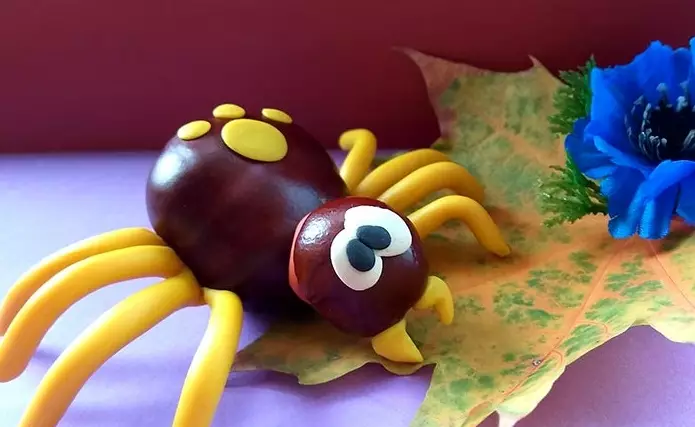 kestane we plasticine (51 Suratlar) gelen Crafts: nähili çaga bir aýy we baykuş etmek üçin? Kömelek modelleme we öz elleri bilen Larva, haýwanlary we örümcekler nemli 26623_4