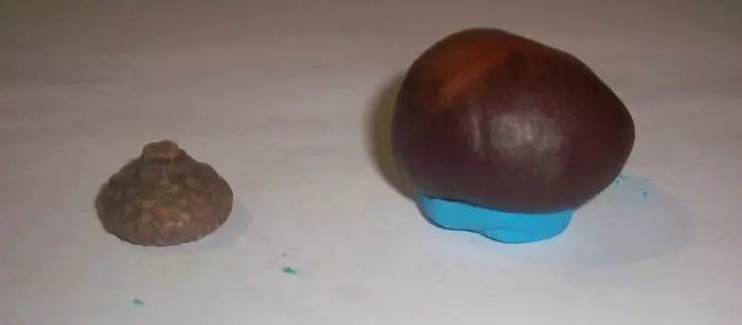 Kerajinan dari chestnut dan plasticine (51 foto): Cara membuat anak-anak beruang dan burung hantu? Pemodelan jamur dan ulat dengan tangan mereka sendiri, hewan lembab dan laba-laba 26623_47