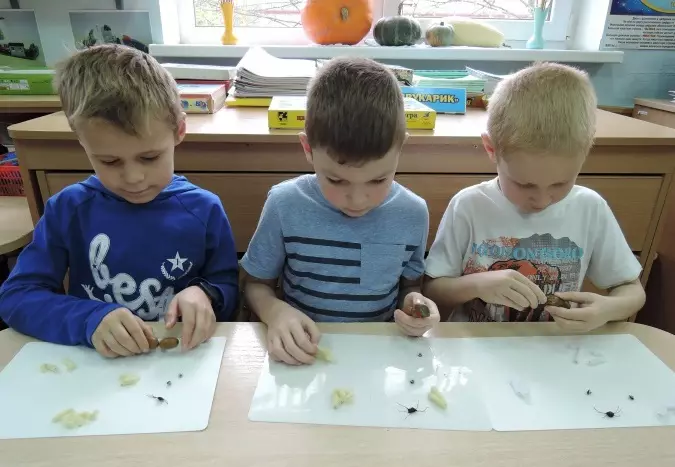 Käsityöt muovi- ja tammenterhoista (47 kuvaa): Kuinka tehdä sieniä lapsille, joilla on oma kätensä? Mitä eläinluvut voit tehdä? Owl-mallinnus, muut käsityöt 26624_14