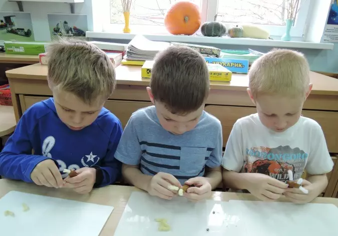 Käsityöt muovi- ja tammenterhoista (47 kuvaa): Kuinka tehdä sieniä lapsille, joilla on oma kätensä? Mitä eläinluvut voit tehdä? Owl-mallinnus, muut käsityöt 26624_17