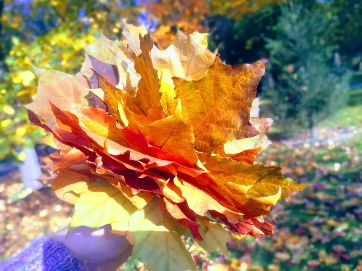 A bouquet of leaves with your own hands (45 photos): how to make flowers on the topic 