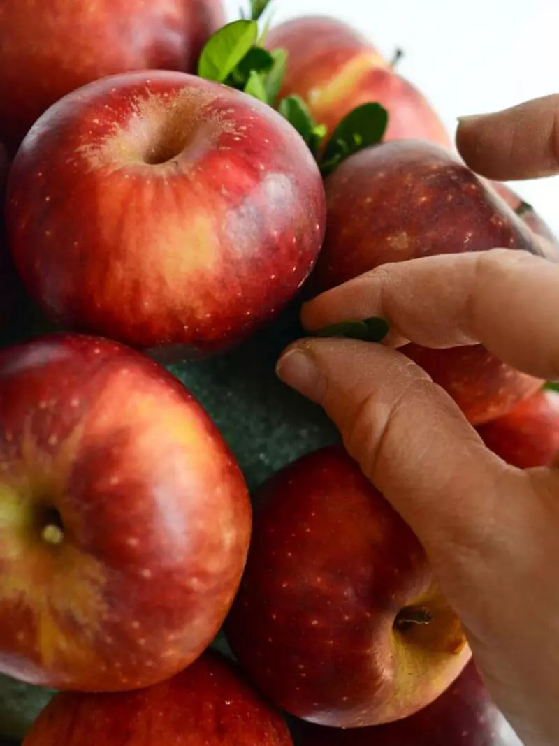 苹果花束（43张照片）：如何用自己的手逐一步一步地制作苹果和颜色初学者？苹果秋天花束用柠檬和蜜桔，用桔子和其他果子 26647_8