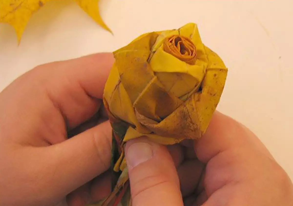 Buketi izrađeni od javorovih listova sa vlastitim rukama (39 fotografija): Kako korak po korak da napravite cvijeće iz lista na glavnoj klasi? Prekrasne jesenske ruže iz lišća postepeno. Kako sakupiti buket? 26650_19