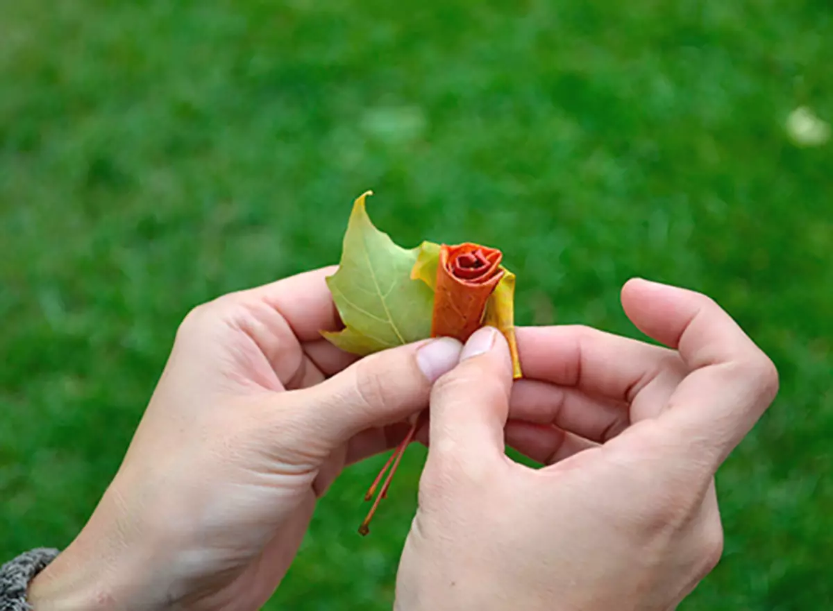 Buketi izrađeni od javorovih listova sa vlastitim rukama (39 fotografija): Kako korak po korak da napravite cvijeće iz lista na glavnoj klasi? Prekrasne jesenske ruže iz lišća postepeno. Kako sakupiti buket? 26650_29