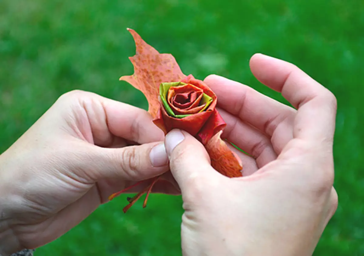 Puokštės, pagaminti iš klevo lapų su savo rankas (39 nuotraukos): Kaip žingsnis po žingsnio, kad gėlės iš lapų dėl meistriškumo pamokoje? Gražios rudens rožės iš palaipsniui lapų. Kaip surinkti iš jų puokštę? 26650_30