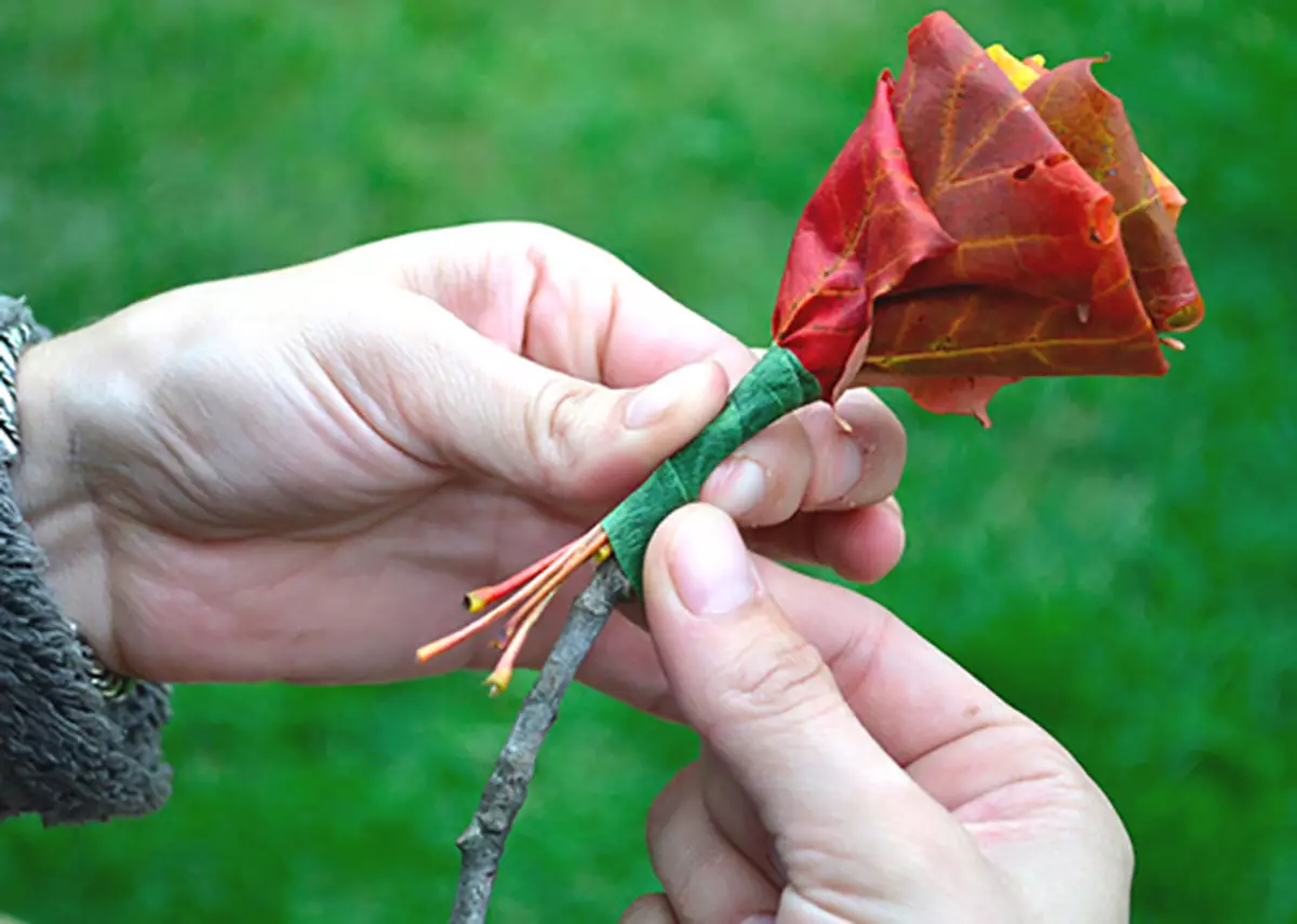Buketter lavet af ahorn blade med egne hænder (39 billeder): hvordan man trin for trin for at gøre blomster fra bladet på masterklassen? Smukke efterårsroser fra bladene gradvist. Hvordan indsamler du buket af dem? 26650_31