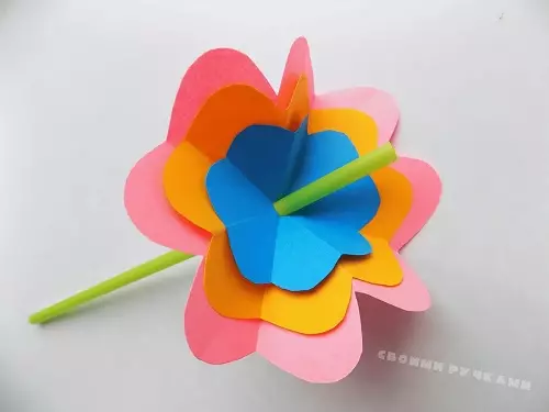 Amatai vaikams 4-5 metų amžiaus: nuo spalvos ir įprasta. Volumetrinės gėlės tai daro patys žingsnis po žingsnio. Instrukcijos Gamyba Kitų amatų 26702_8
