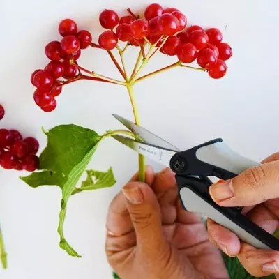 रियाबीना (45 फोटो) क्राफ्ट: पाने आणि berries, त्यांच्या स्वत: च्या हाताने किंडरगार्ड मध्ये गिलहरी. मुलांसाठी शरद ऋतूतील विषयावर शिल्प. शिल्पकला साठी रोमन कसे वाचवायचे? 26731_10