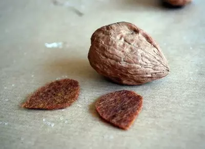 Řemesla z ořechů (52 fotografií): Podzimní řemesla z Shell to udělat sami za děti do mateřské školy, želvy z mušlí. Jaké další řemesla mohou být provedena? 26732_21