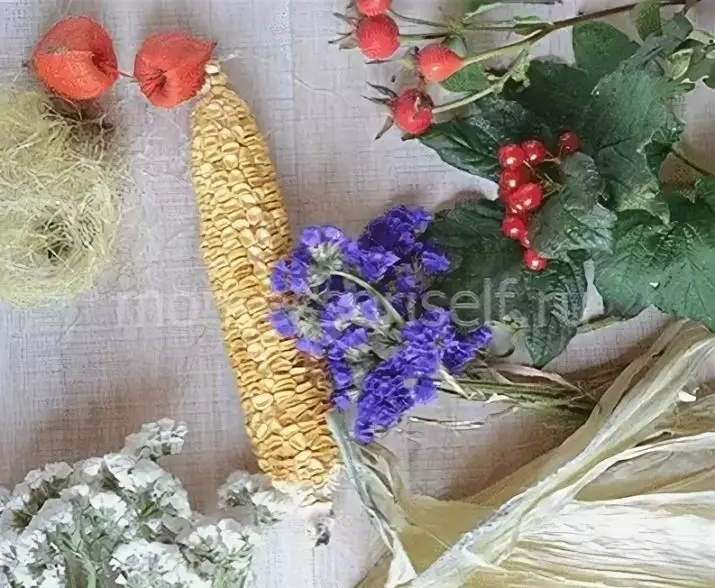 Proizvodi izrađeni od kukuruza (44 fotografija) za vrtić i škola, miljenici i obrta na temu jesen sa svojim rukama i uši kukuruza lišća 26737_38