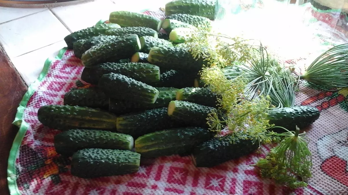 Kaktus uit komkommers (31 foto's): hoe om 'n crawl maak in 'n kleuterskool op die onderwerp van die herfs met tandestokkies in 'n pot? eenvoudige drink 26740_12