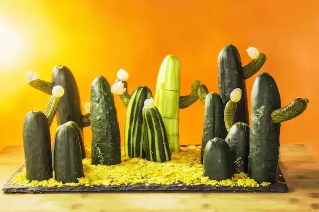 Kaktus uit komkommers (31 foto's): hoe om 'n crawl maak in 'n kleuterskool op die onderwerp van die herfs met tandestokkies in 'n pot? eenvoudige drink 26740_27