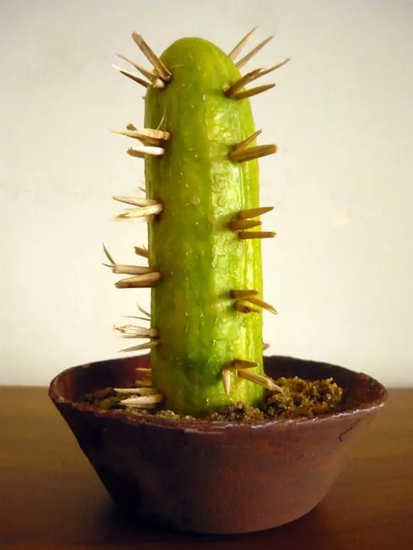 Cactus dari timun (31 photos): bagaimana untuk membuat merangkak ke dalam tadika pada topik musim luruh dengan pencungkil gigi dalam periuk? Mudah minum 26740_7