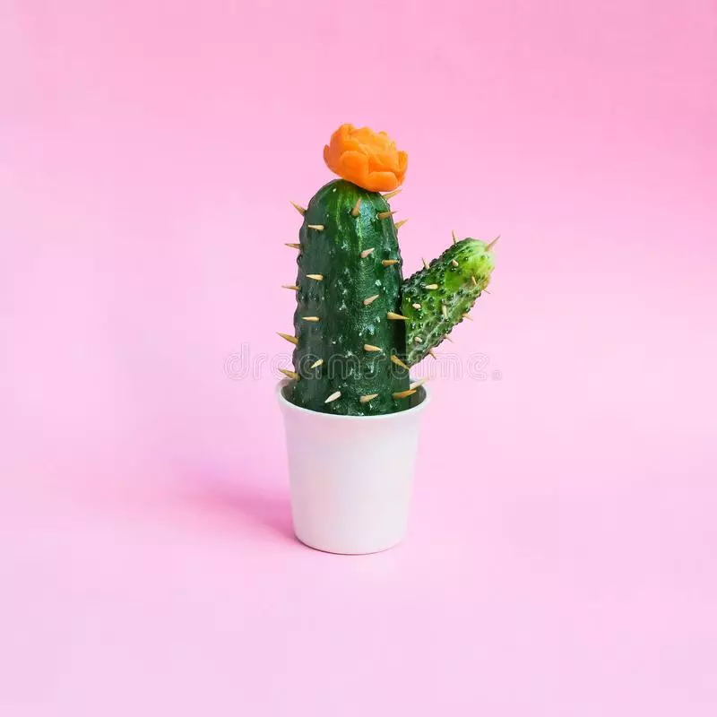 Cactus z okurků (31 fotek): Jak se prolézat do mateřské školy na téma podzim s párátkami v hrnci? Jednoduché pití 26740_8