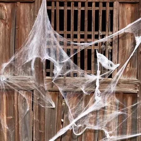 Pająk i sieć na Halloween: Jak zrobić pająk z własnymi rękami? Opcje strony internetowej z gazy i wątków, inne pomysły 26744_24