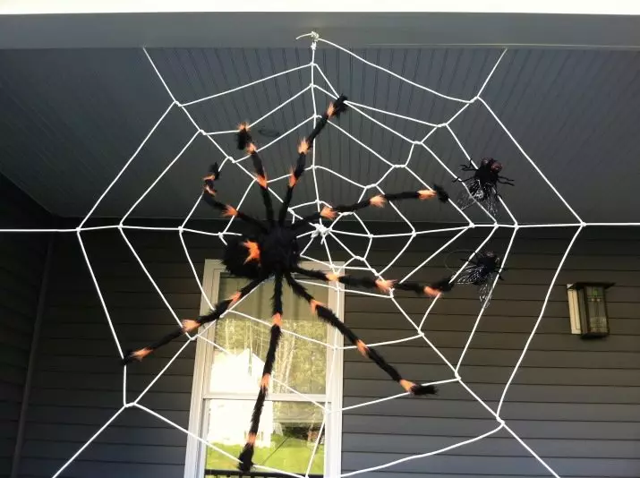 עכביש ואינטרנט על ליל כל הקדושים: איך לעשות עכביש עם הידיים שלך? אפשרויות אתר מ גזה וחוטים, רעיונות אחרים 26744_26