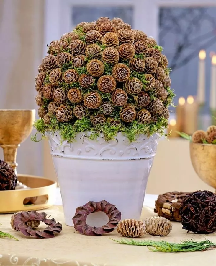 Decor of Cones: Novoročné dekorácie pre domov s vlastnými rukami od smrekových kužeľov a pobočiek. Ako urobiť celoročný dekor? Nápady na dizajn byt 26762_3