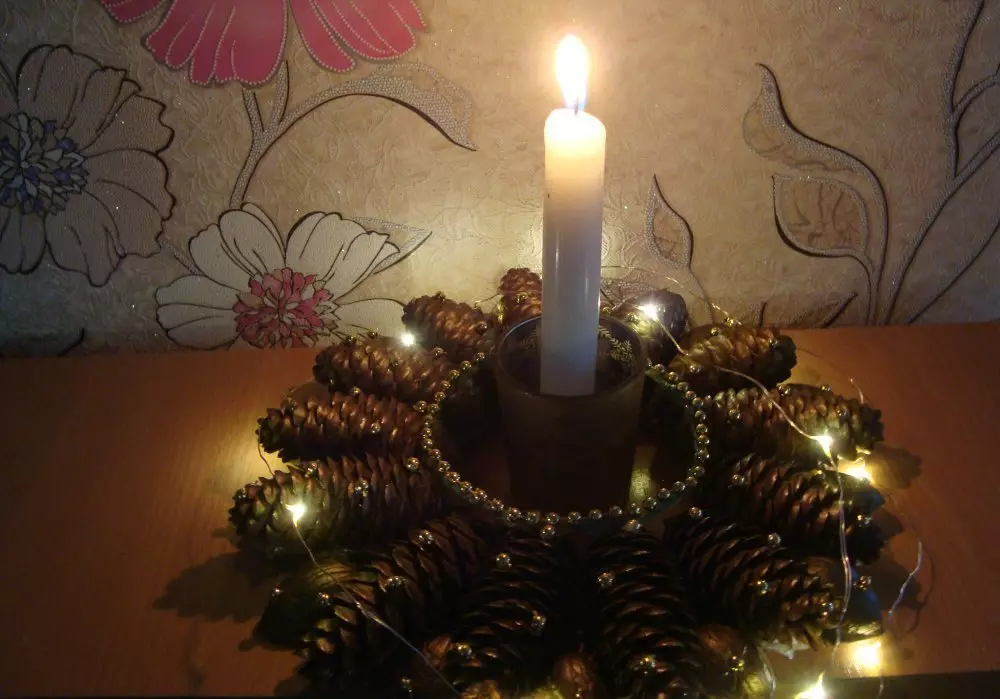 Decor of Cones: Novoročné dekorácie pre domov s vlastnými rukami od smrekových kužeľov a pobočiek. Ako urobiť celoročný dekor? Nápady na dizajn byt 26762_37