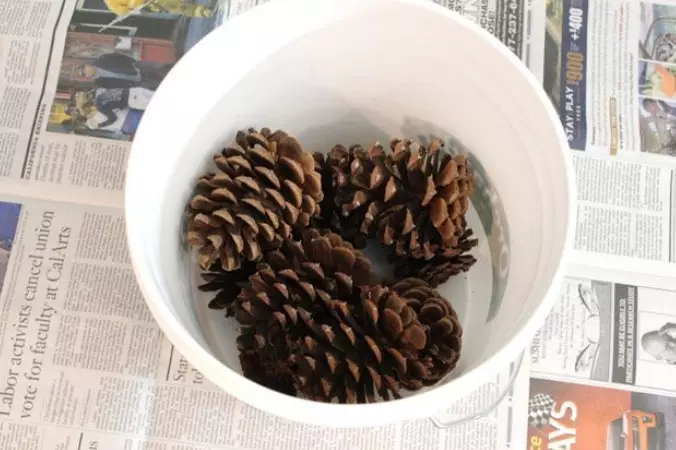 Decor of Cones: Novoročné dekorácie pre domov s vlastnými rukami od smrekových kužeľov a pobočiek. Ako urobiť celoročný dekor? Nápady na dizajn byt 26762_7