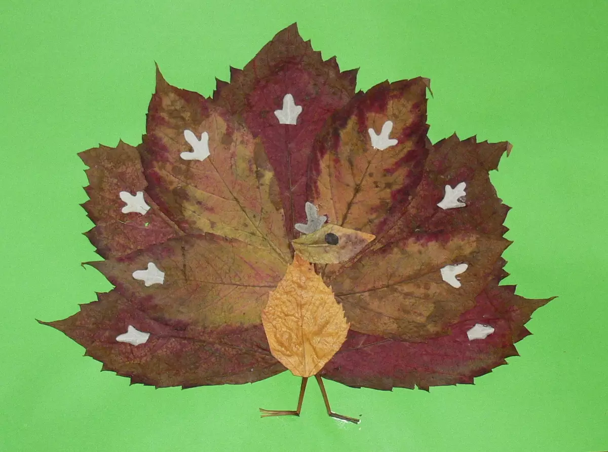 葉から「Firebird」の工芸品（30枚の写真）：秋の乾いた葉からの応用、バルク手工芸品。ステップバイステップの指示にそれらを作る方法は？ 26763_12
