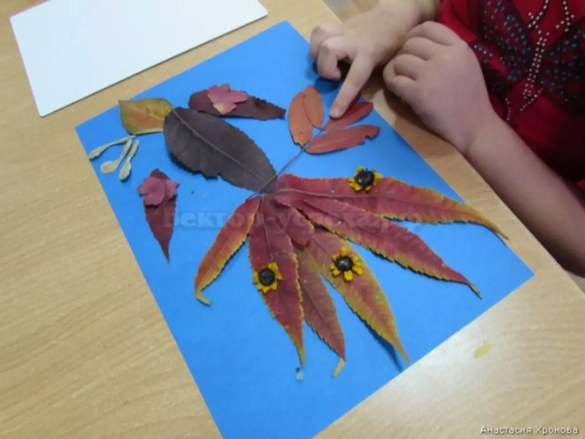 葉から「Firebird」の工芸品（30枚の写真）：秋の乾いた葉からの応用、バルク手工芸品。ステップバイステップの指示にそれらを作る方法は？ 26763_16