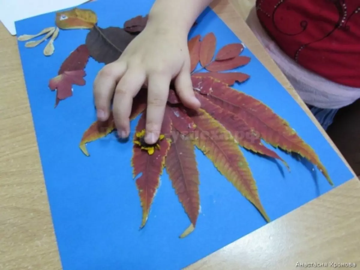 葉から「Firebird」の工芸品（30枚の写真）：秋の乾いた葉からの応用、バルク手工芸品。ステップバイステップの指示にそれらを作る方法は？ 26763_19