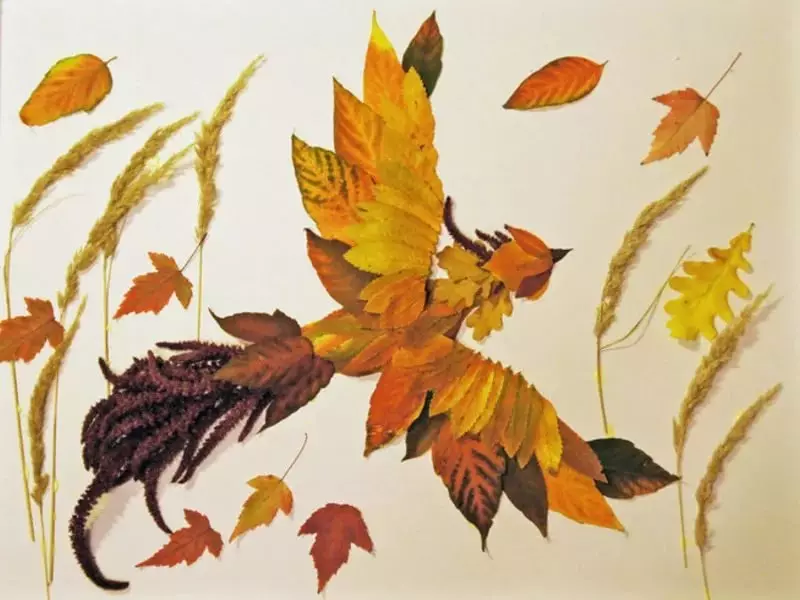 葉から「Firebird」の工芸品（30枚の写真）：秋の乾いた葉からの応用、バルク手工芸品。ステップバイステップの指示にそれらを作る方法は？ 26763_2