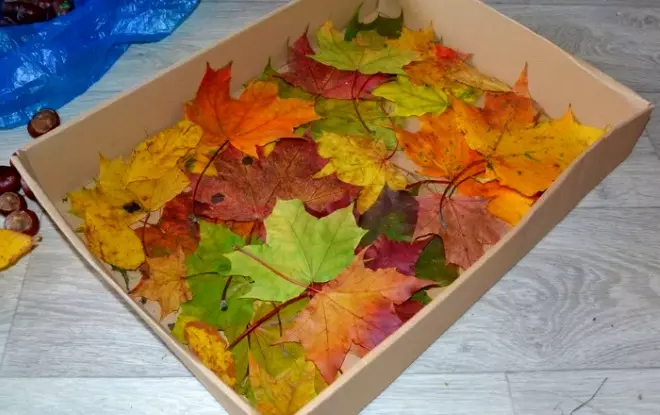 葉から「Firebird」の工芸品（30枚の写真）：秋の乾いた葉からの応用、バルク手工芸品。ステップバイステップの指示にそれらを作る方法は？ 26763_26