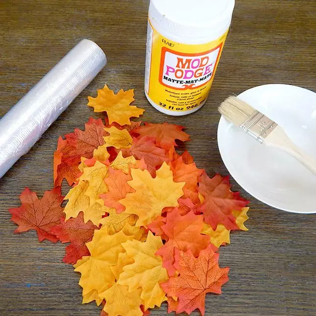 葉から「Firebird」の工芸品（30枚の写真）：秋の乾いた葉からの応用、バルク手工芸品。ステップバイステップの指示にそれらを作る方法は？ 26763_29