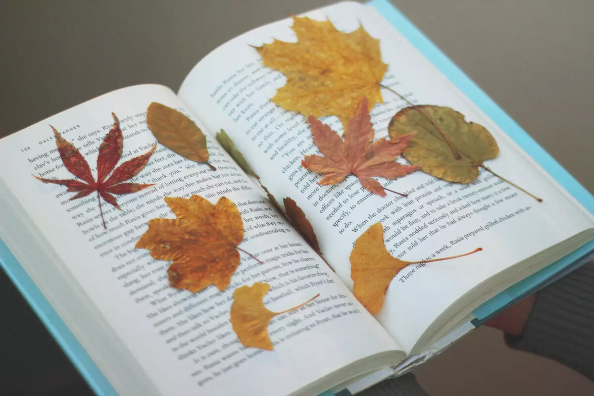 葉から「Firebird」の工芸品（30枚の写真）：秋の乾いた葉からの応用、バルク手工芸品。ステップバイステップの指示にそれらを作る方法は？ 26763_6
