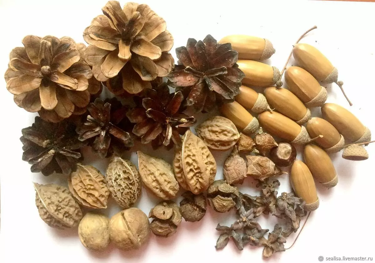 शंकुओं और acorns (44 फोटो) से शिल्प: पत्तियों के साथ शरद ऋतु शिल्प और अपने हाथों से अपने हाथों के साथ चेस्टनट के साथ और बच्चों के लिए किंडरगार्टन में, शंकु और एकोर्न से अन्य शिल्प 26775_11