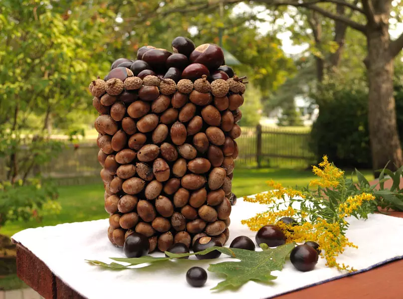 Crafts mai cones ma acorns (44 ata): Autumn Crafts ma lau ma le Chestnuts ma o latou lava lima ma le agalelei 26775_26