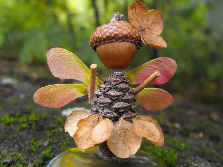 Crafts daga Cones da acorns (44 photos): Autumn Crafts tare da ganye da kuma tare da chestnuts da hannuwansu zuwa makaranta da kuma a kindergarten ga yara, sauran crafts daga Cones da acorns 26775_29