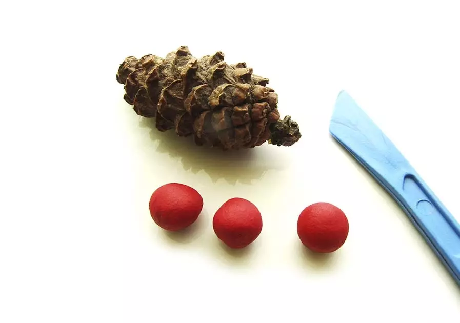 សិប្បកម្ម Cedar Cones (41 រូបថត): តើអ្នកធ្វើអ្វីដោយដៃរបស់អ្នកផ្ទាល់លើប្រធានបទ 