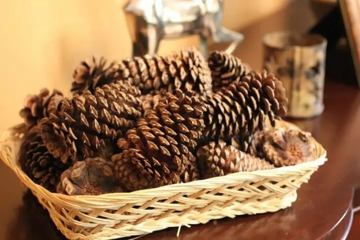 Cedar Cones Crafts (Picha 41): Unafanya nini na mikono yako juu ya mada 