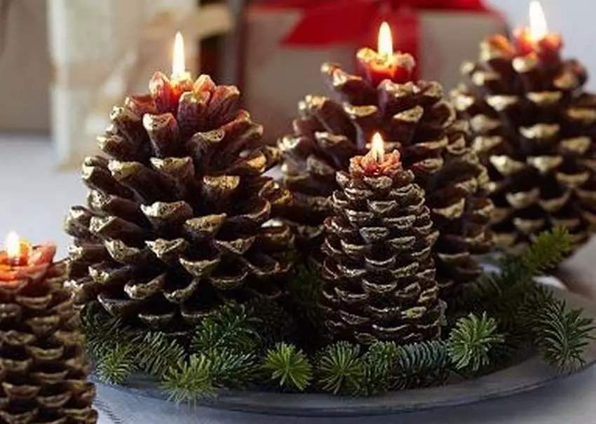 Cedar cones crafts (41 mga larawan): Ano ang gagawin mo sa iyong sariling mga kamay sa paksa na 
