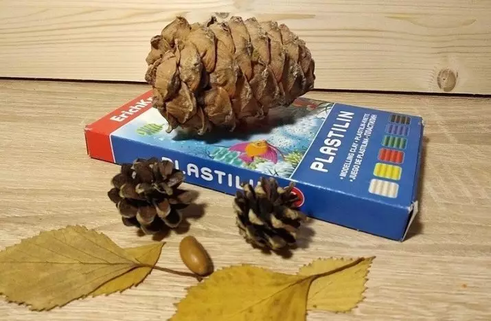 雪松錐體工藝品（41張）：你怎麼處理的題目是“秋”為幼兒園和學校你自己的手中呢？秋工藝品幼兒 26778_6