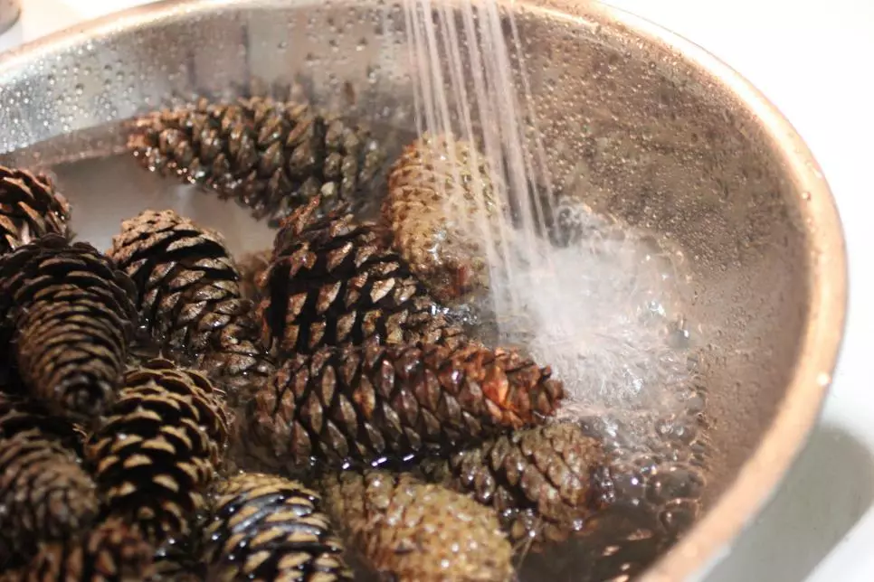 Crafts từ Fir Cones (45 ảnh): Làm thế nào để biến chúng thành tay của chính mình cho mẫu giáo và đến trường? Những gì có thể được thực hiện về chủ đề của mùa thu? 26779_12