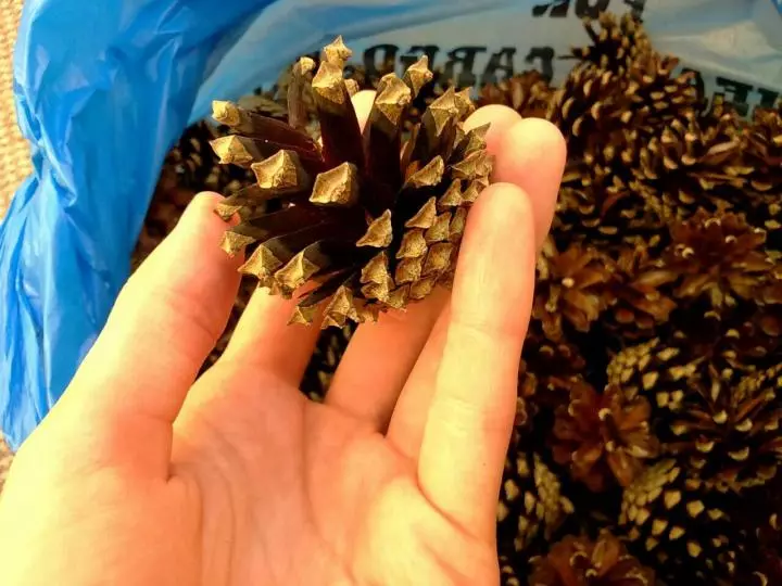 Artesanato de cones de abeto (45 fotos): Como fazê-los com suas próprias mãos para o jardim de infância e para a escola? O que pode ser feito no tópico do outono? 26779_14