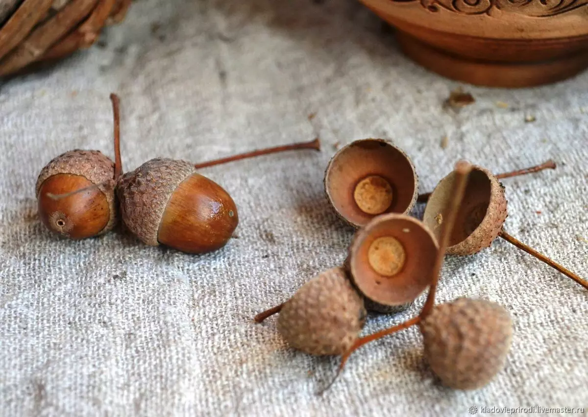 Crafts từ Fir Cones (45 ảnh): Làm thế nào để biến chúng thành tay của chính mình cho mẫu giáo và đến trường? Những gì có thể được thực hiện về chủ đề của mùa thu? 26779_25