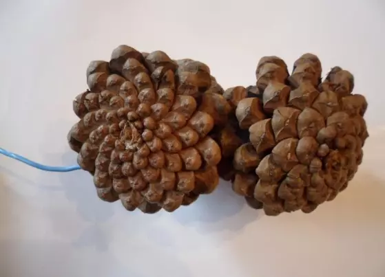 Mga Crafts gikan sa FIR CONES (45 Mga Litrato): Giunsa kini paghimo sa imong kaugalingon nga mga kamot alang sa kindergarten ug sa eskuylahan? Unsa man ang mahimo sa hilisgutan sa tingdagdag? 26779_38