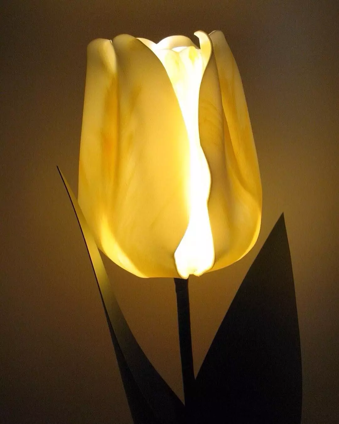 Izolone Lampa (52 zdjęcia): Master Class of Bukiet na suficie z własnymi rękami, nocnym światłem nocnym w formie jednorożca, tulipanów, koszy z irysami i innymi opcjami 26802_16