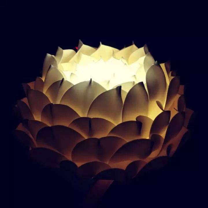 Izolon-lampe (52 bilder): Mesterklassen av bukett på taket med egne hender, nattbordslys i form av en enhjørning, tulipan, kurver med iris og andre alternativer 26802_3